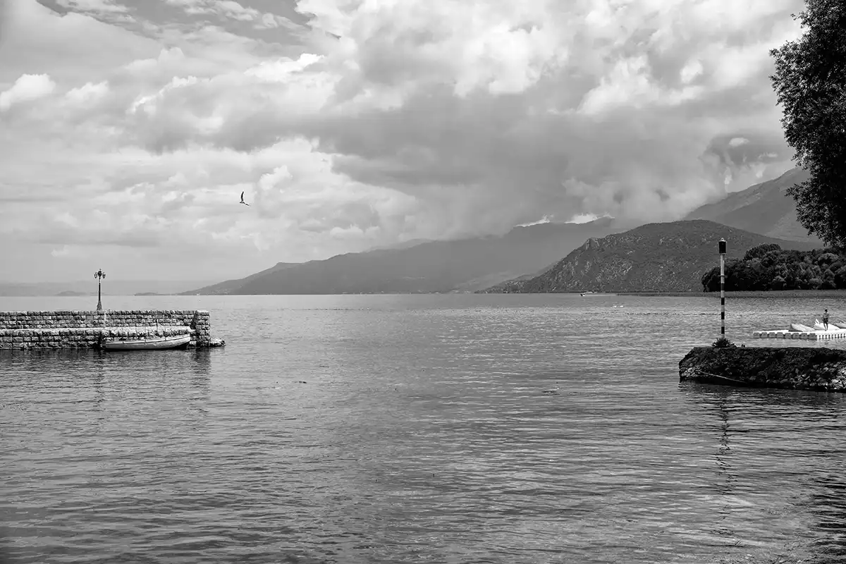 Gonçalo Cunha de Sá