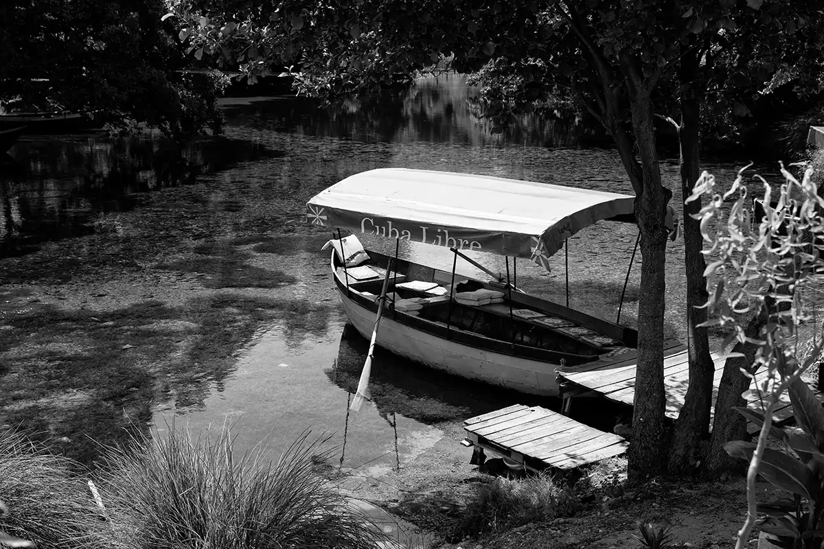 Gonçalo Cunha de Sá