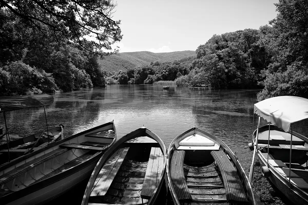 Gonçalo Cunha de Sá