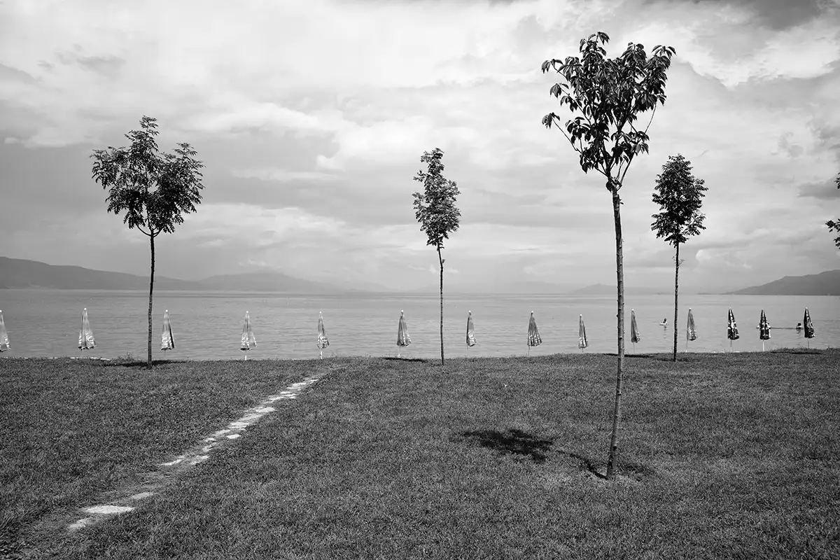 Gonçalo Cunha de Sá