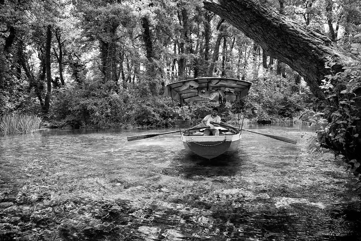 Gonçalo Cunha de Sá