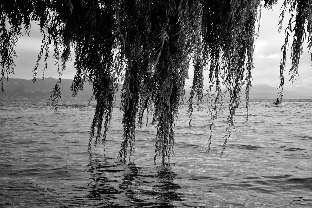 Gonçalo Cunha de Sá