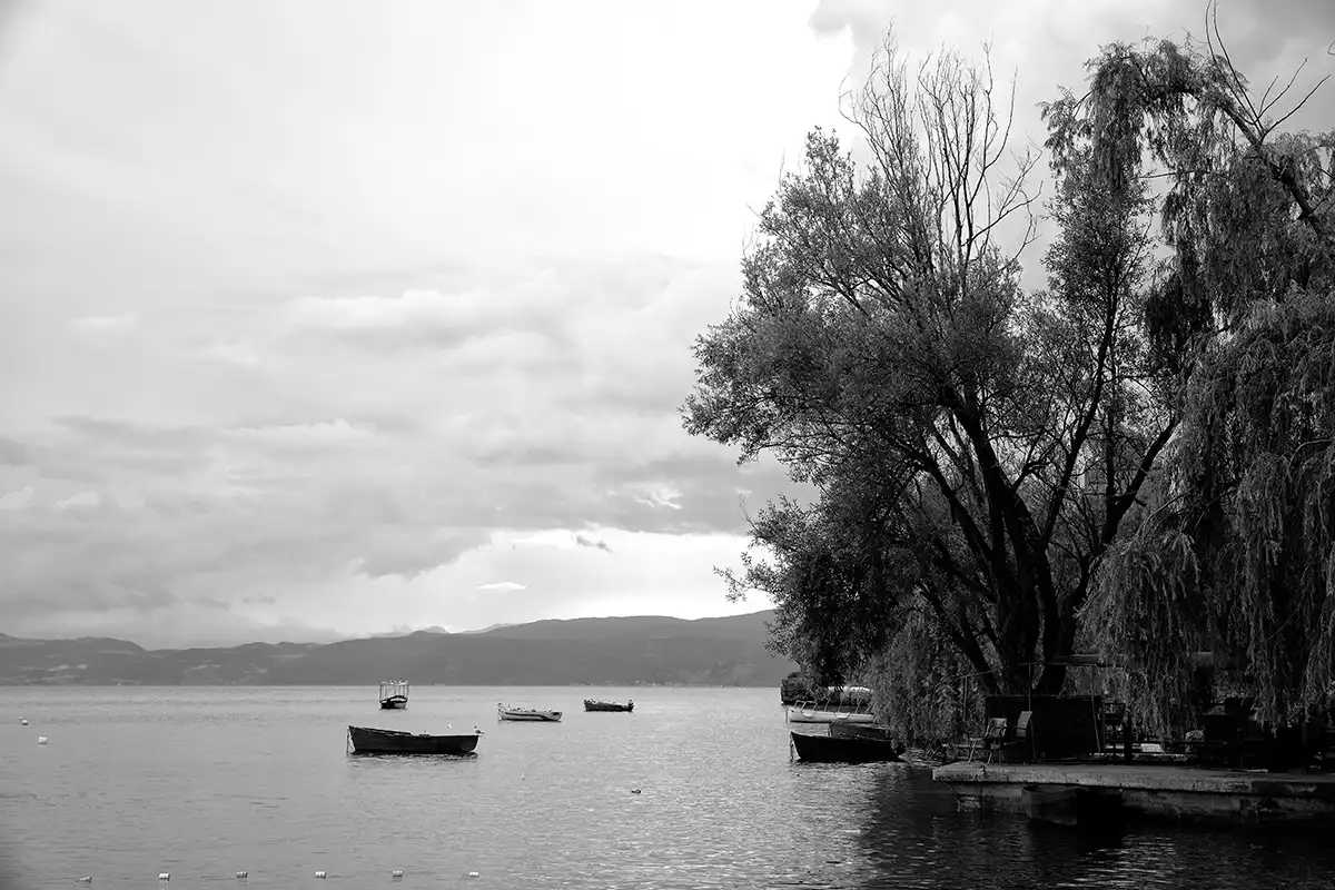 Gonçalo Cunha de Sá