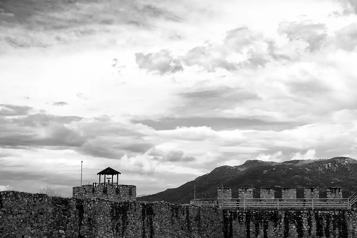 Gonçalo Cunha de Sá