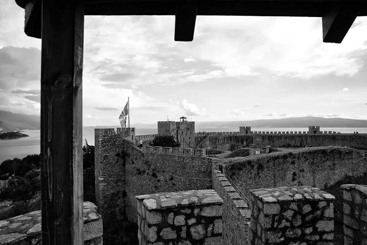 Gonçalo Cunha de Sá