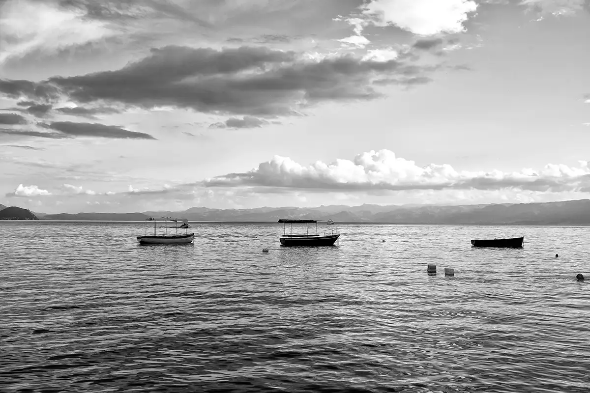 Gonçalo Cunha de Sá