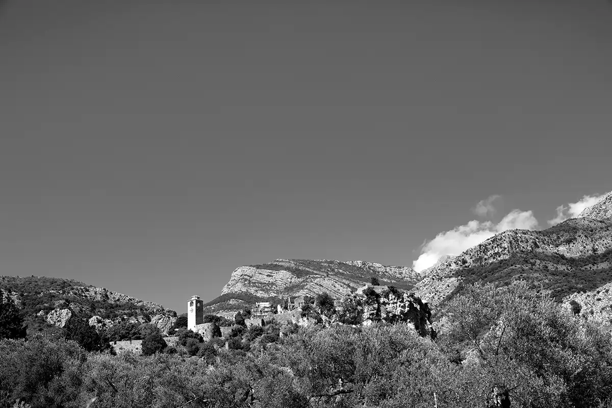 Gonçalo Cunha de Sá