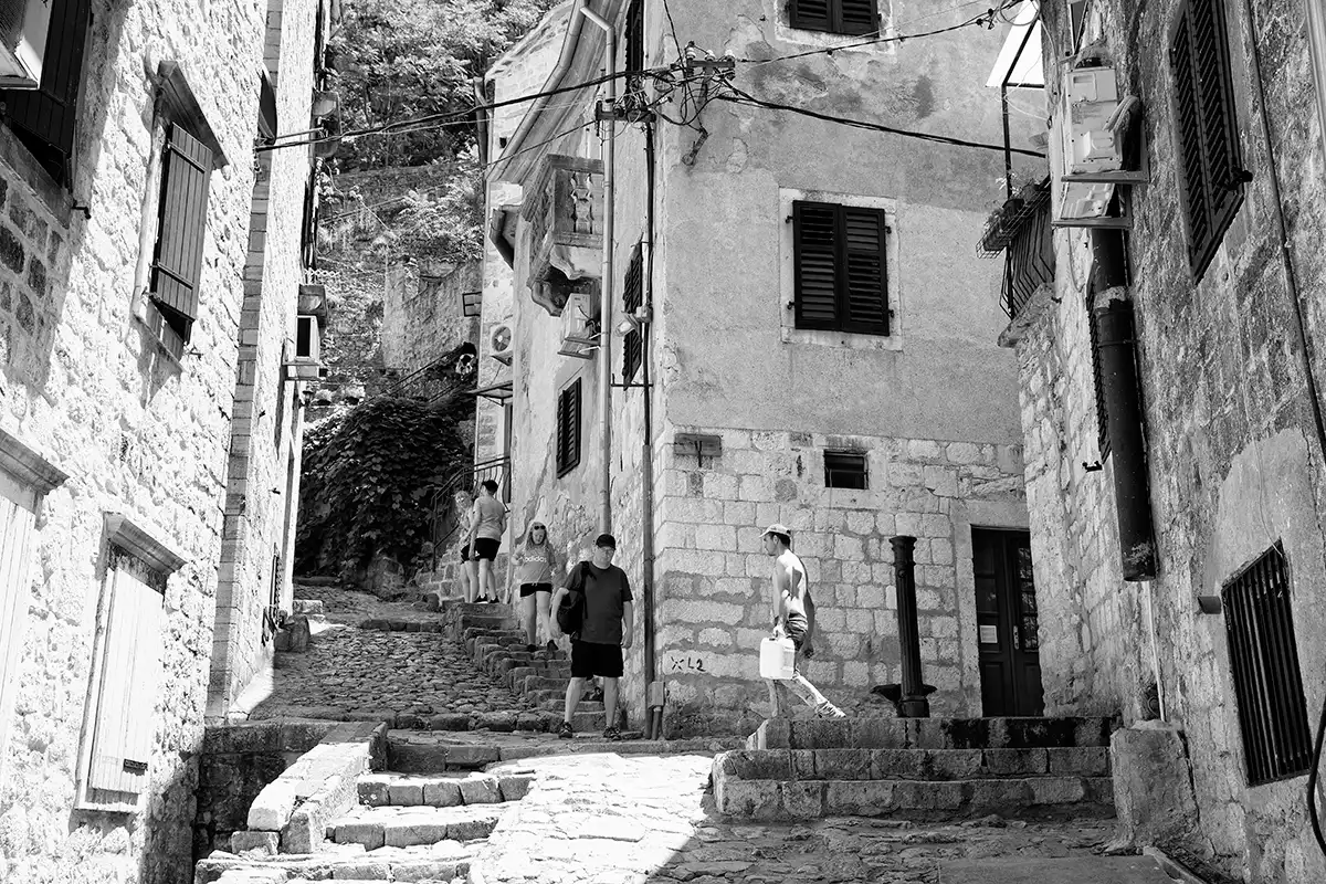 Gonçalo Cunha de Sá