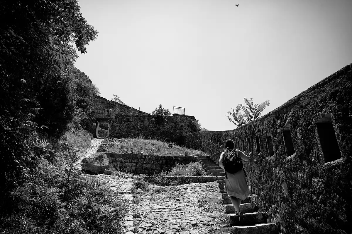 Gonçalo Cunha de Sá