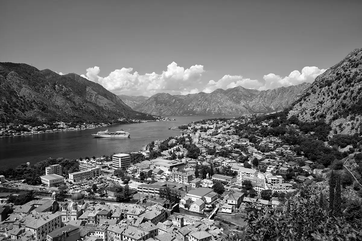 Gonçalo Cunha de Sá