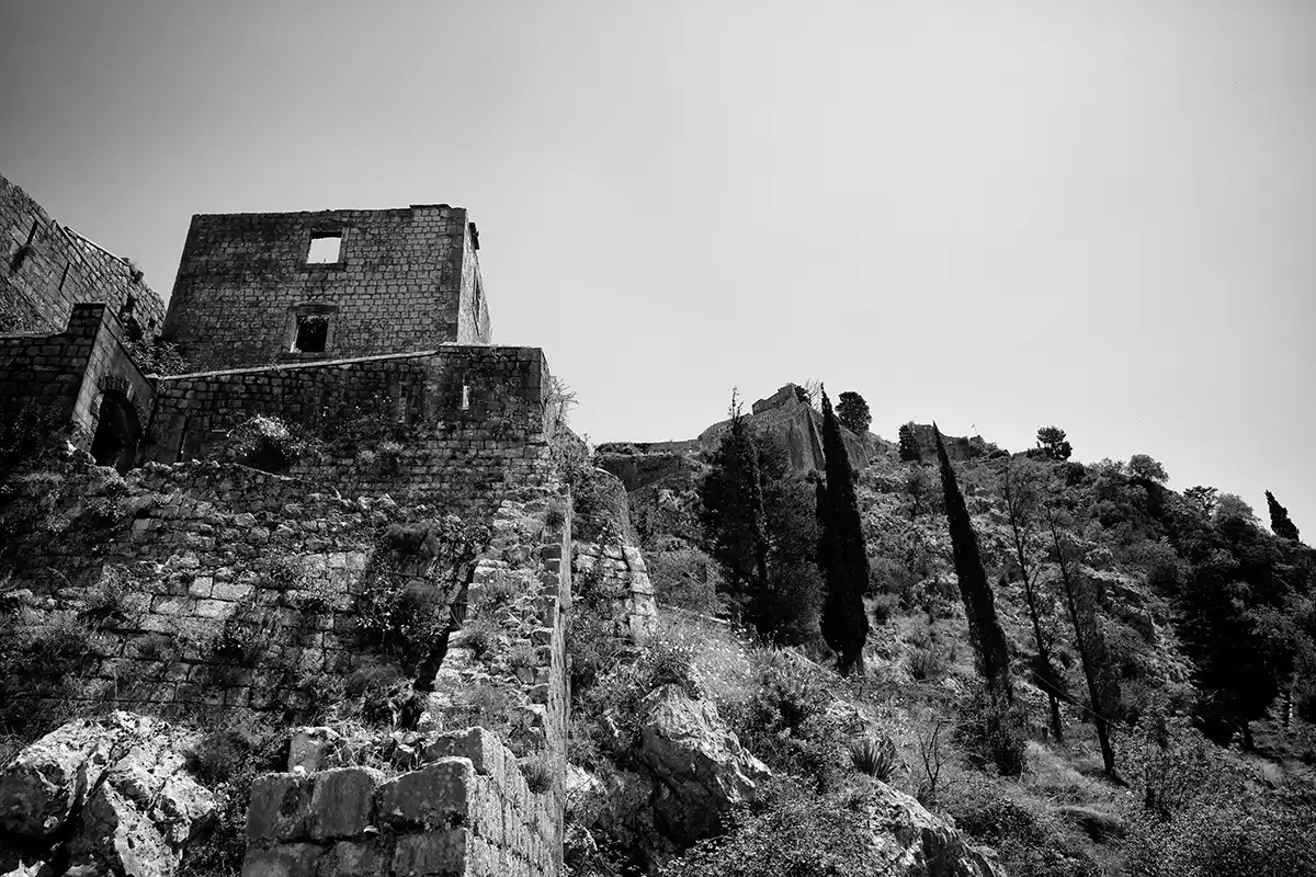 Gonçalo Cunha de Sá