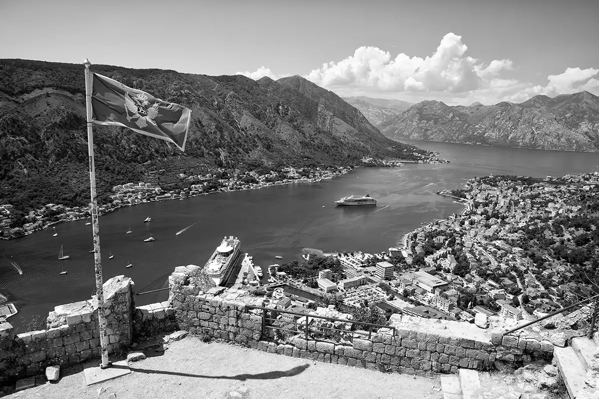 Gonçalo Cunha de Sá