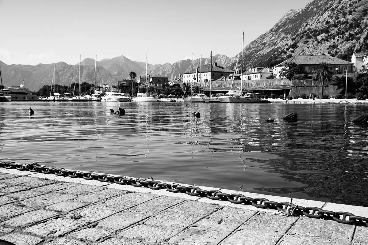 Gonçalo Cunha de Sá