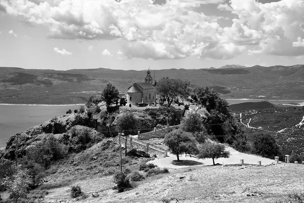 Gonçalo Cunha de Sá