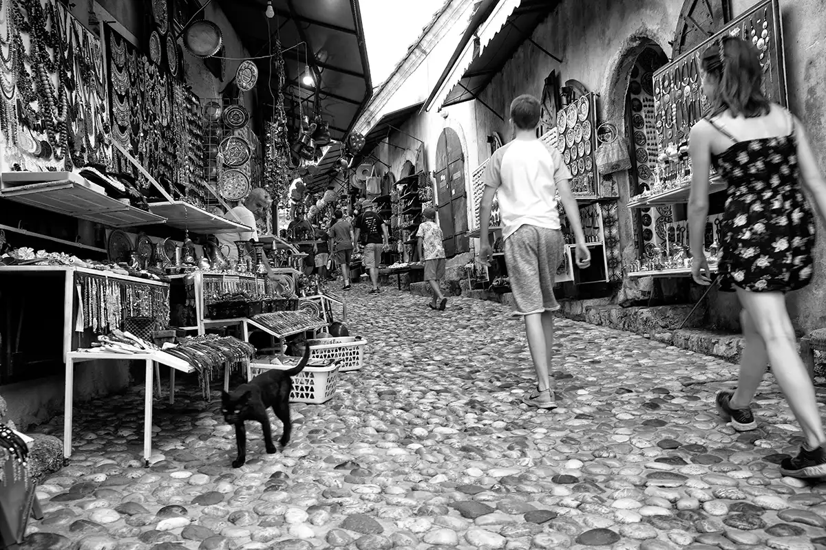 Gonçalo Cunha de Sá