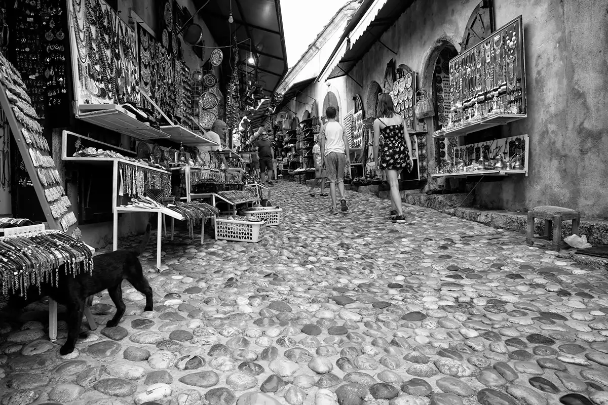 Gonçalo Cunha de Sá