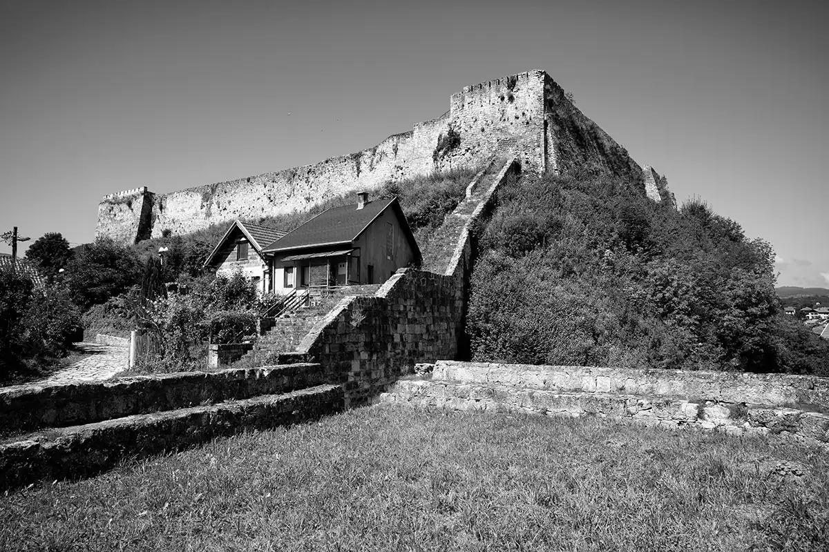 Gonçalo Cunha de Sá
