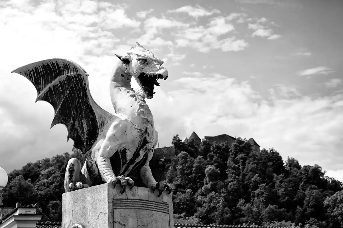 Gonçalo Cunha de Sá