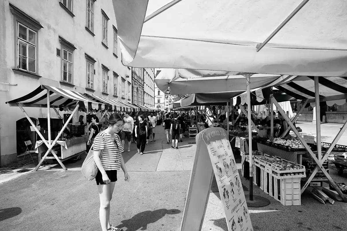 Gonçalo Cunha de Sá