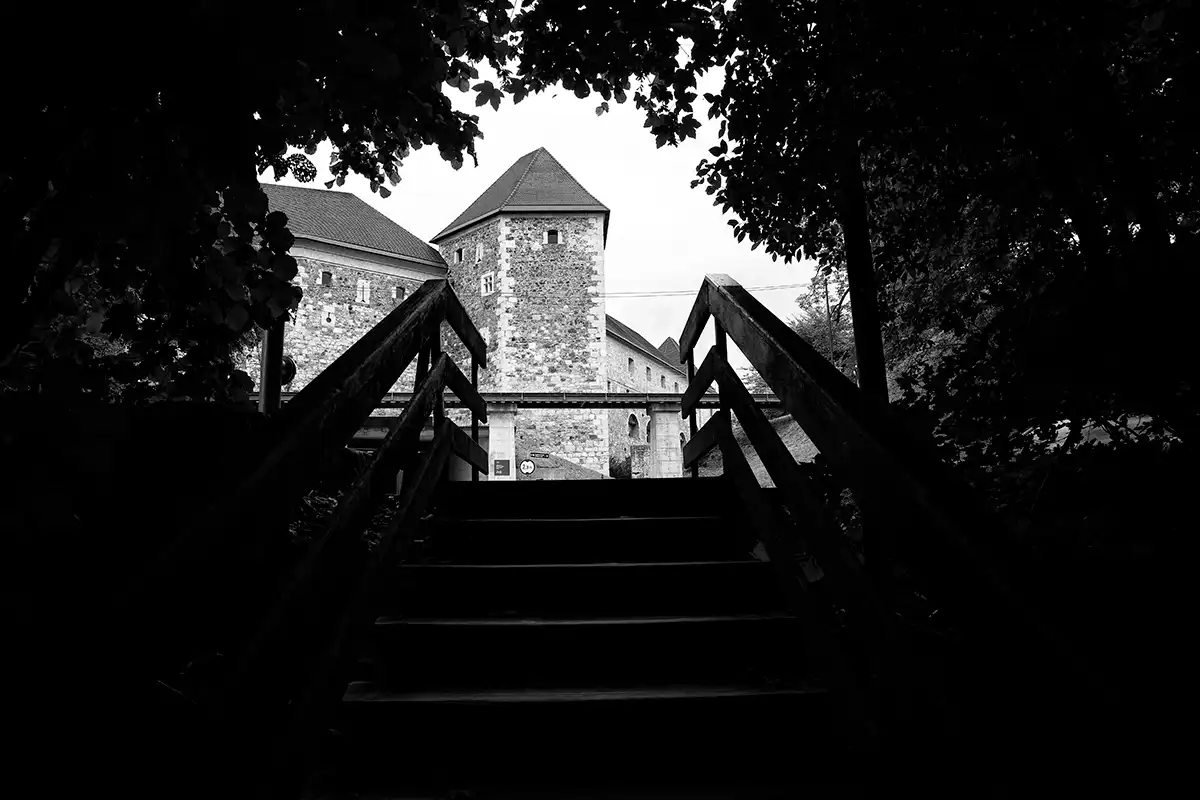 Gonçalo Cunha de Sá