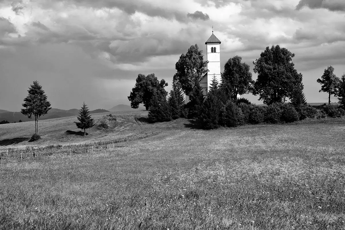 Gonçalo Cunha de Sá