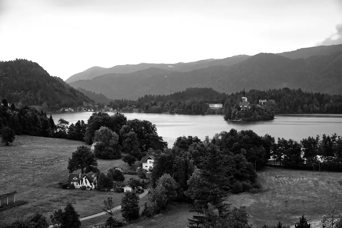 Gonçalo Cunha de Sá