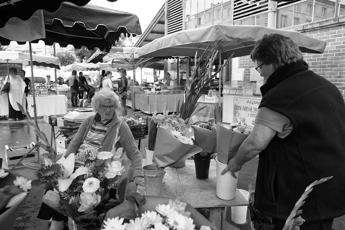 Gonçalo Cunha de Sá