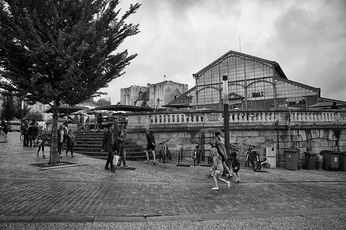 Gonçalo Cunha de Sá