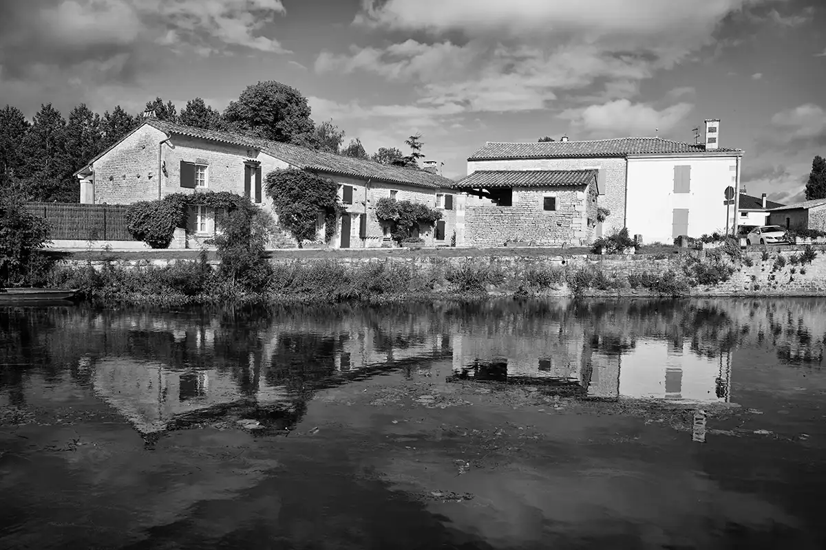 Gonçalo Cunha de Sá