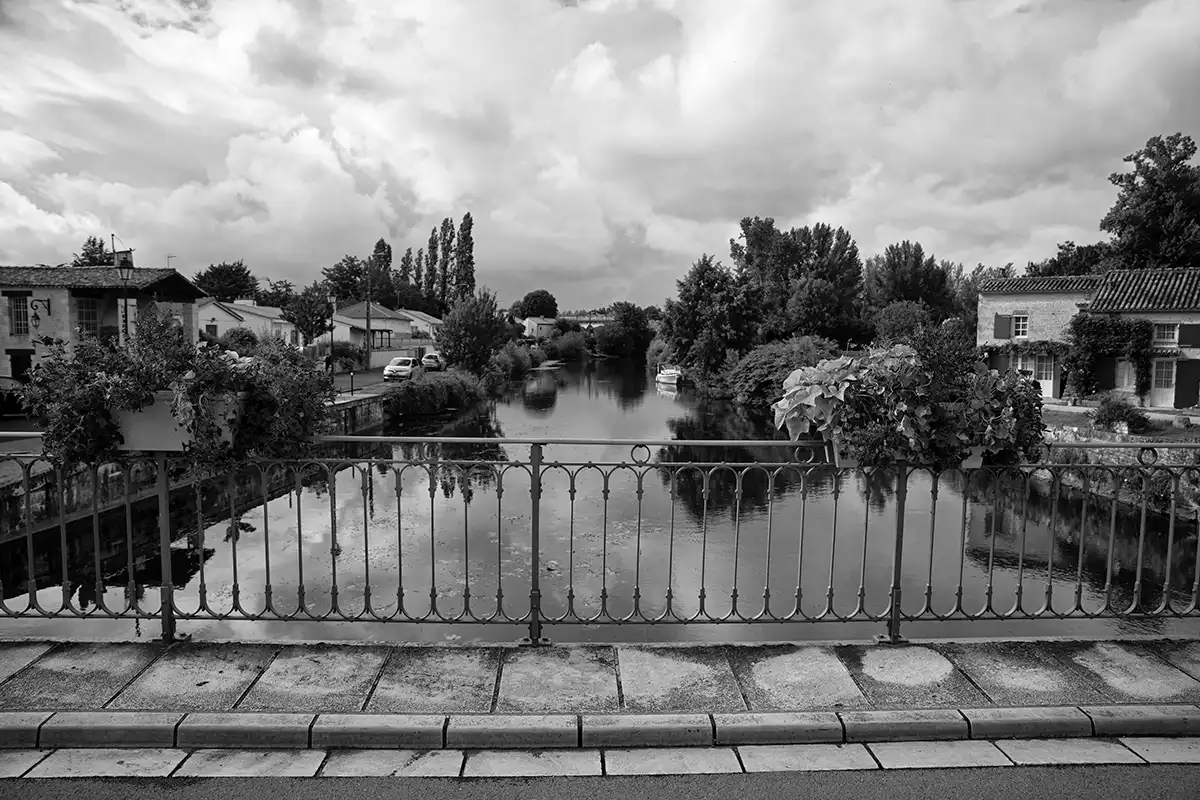 Gonçalo Cunha de Sá