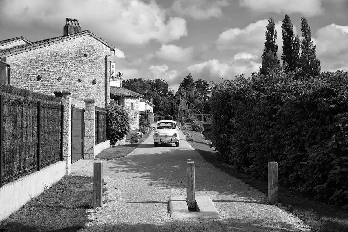 Gonçalo Cunha de Sá