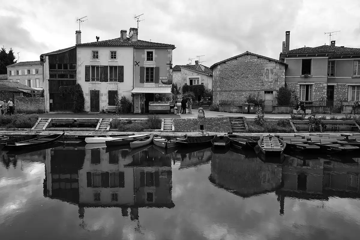 Gonçalo Cunha de Sá