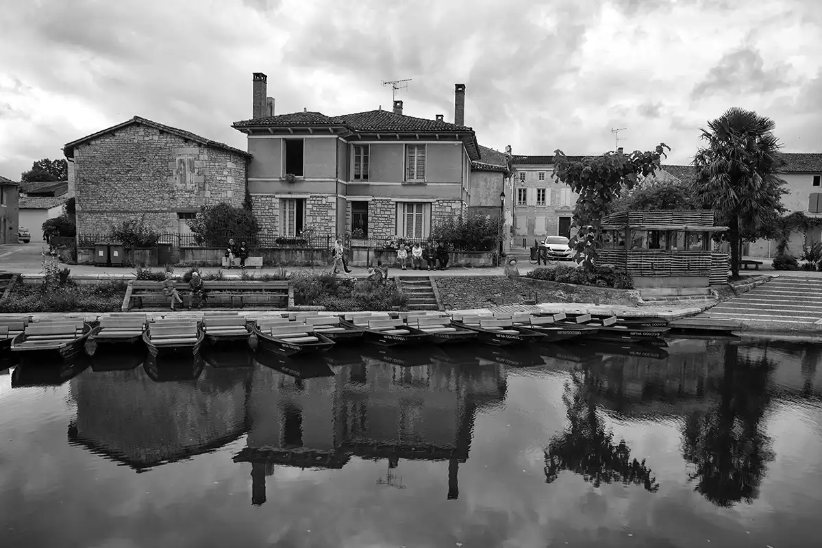 Gonçalo Cunha de Sá