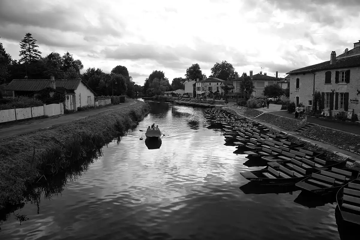 Gonçalo Cunha de Sá