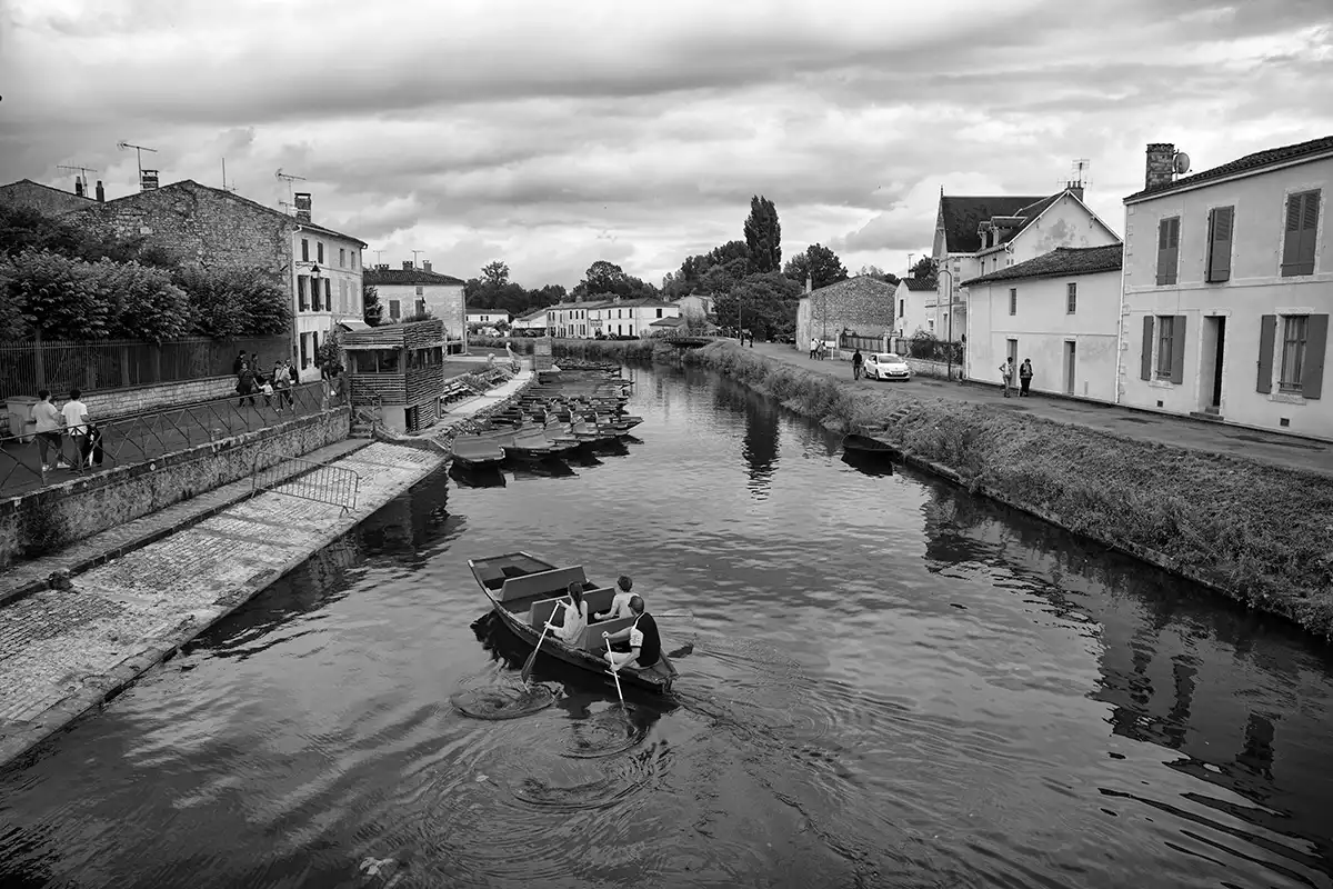 Gonçalo Cunha de Sá