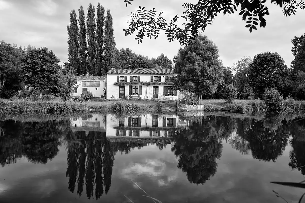 Gonçalo Cunha de Sá