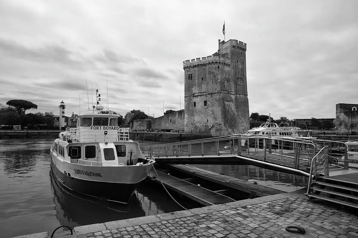 Gonçalo Cunha de Sá