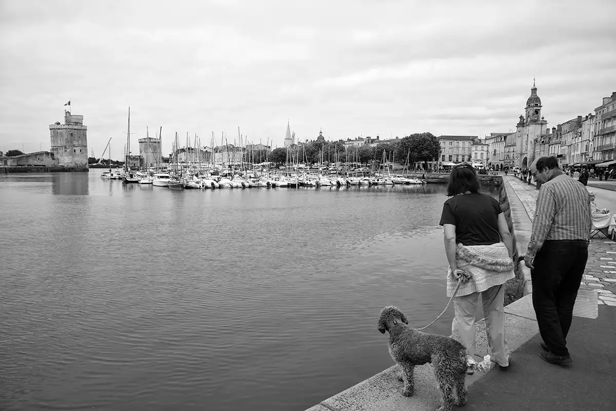 Gonçalo Cunha de Sá