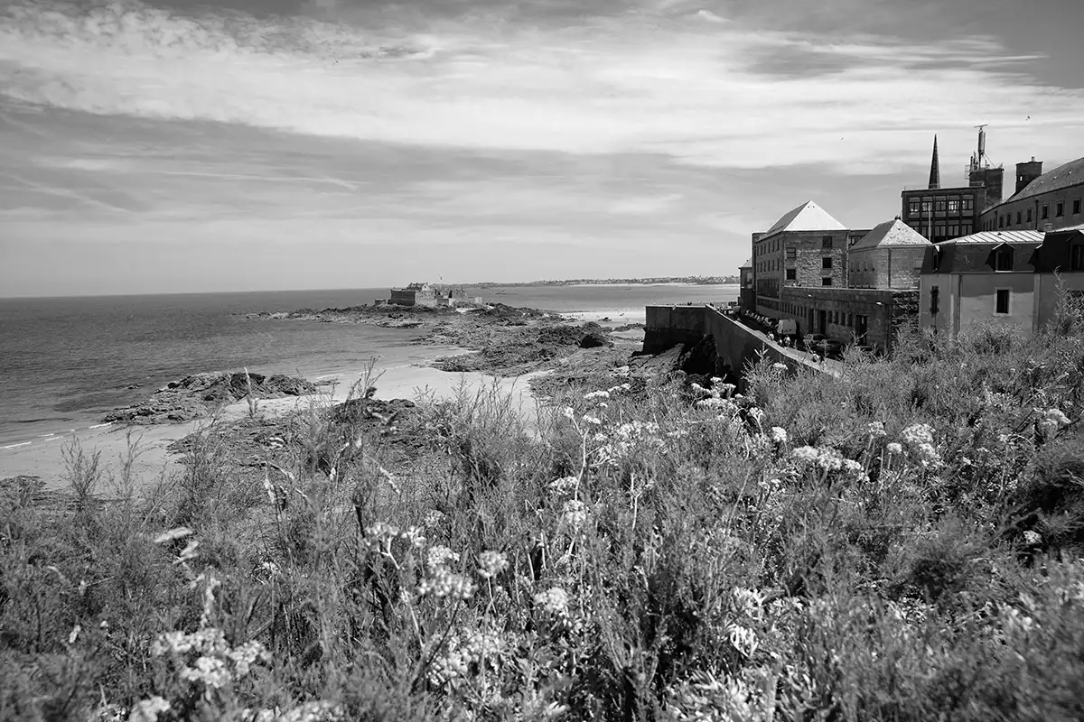 Gonçalo Cunha de Sá