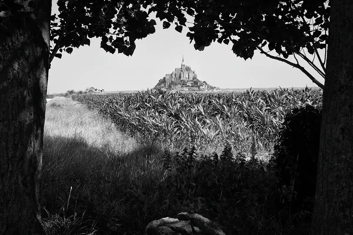 Gonçalo Cunha de Sá