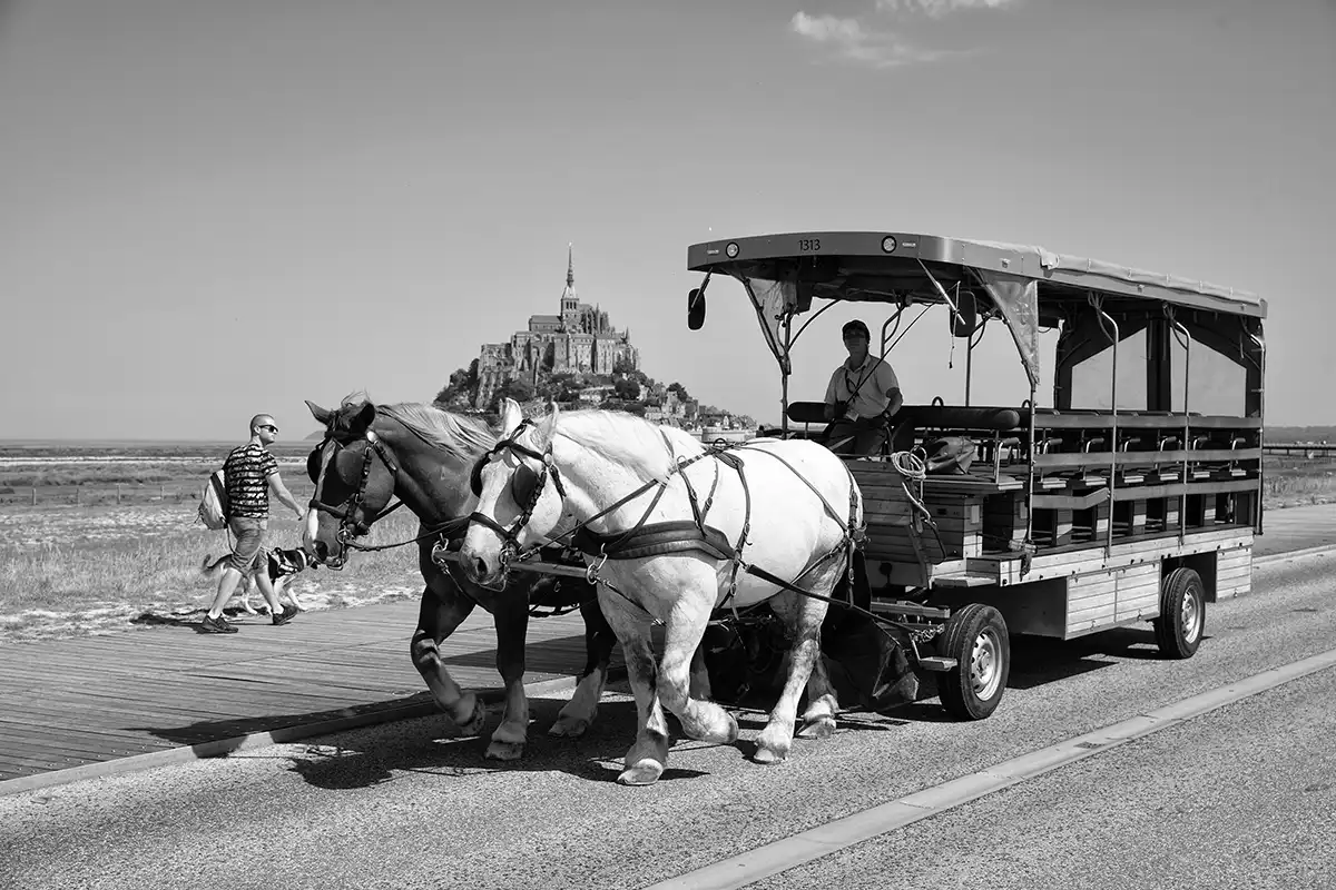 Gonçalo Cunha de Sá