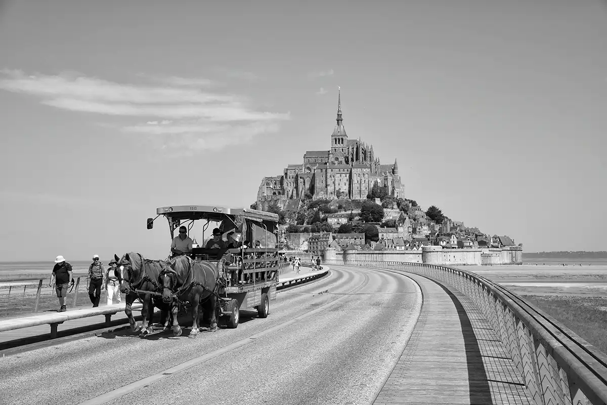 Gonçalo Cunha de Sá