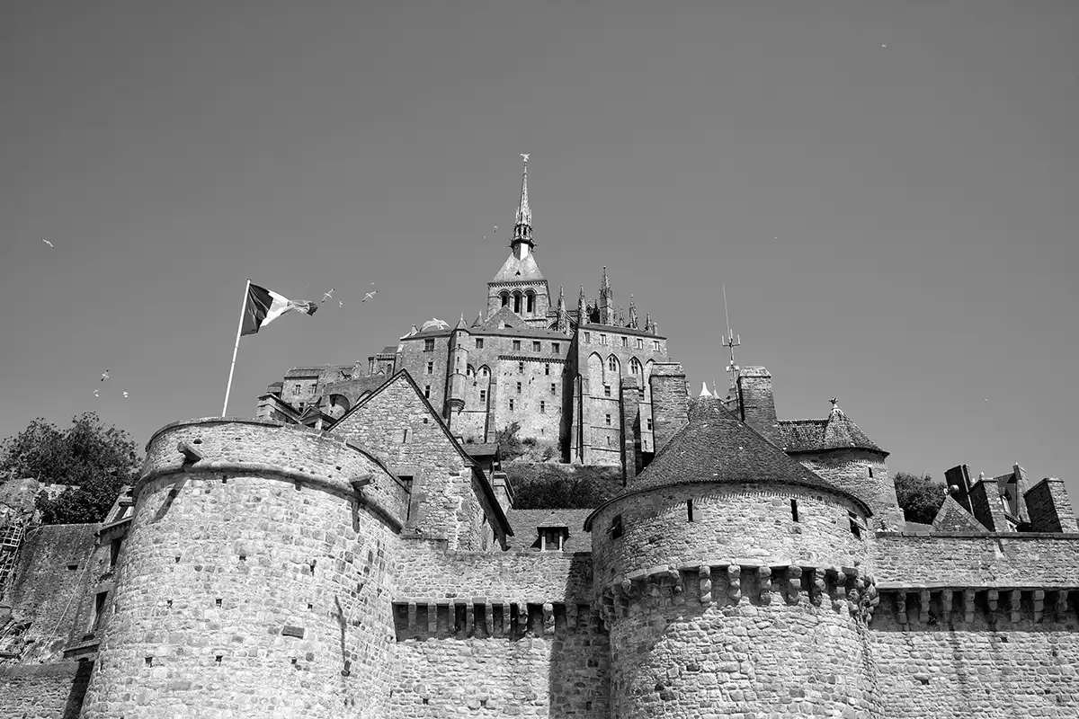 Gonçalo Cunha de Sá