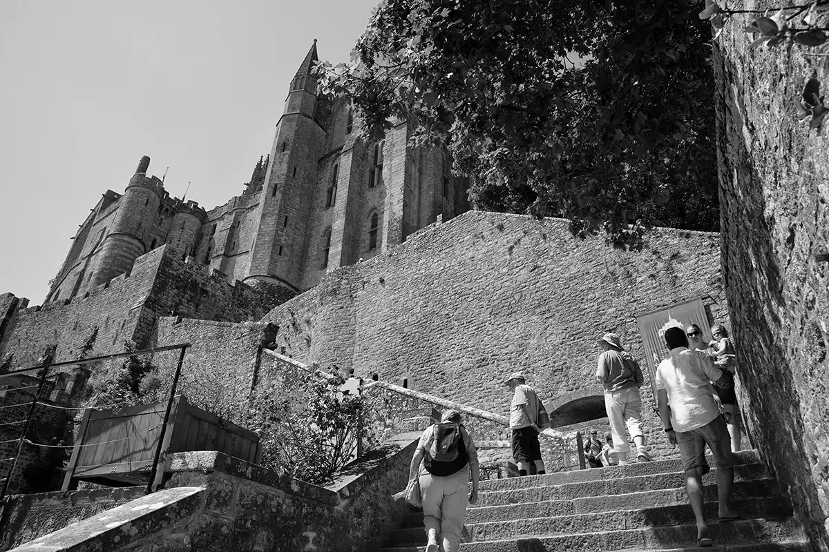 Gonçalo Cunha de Sá