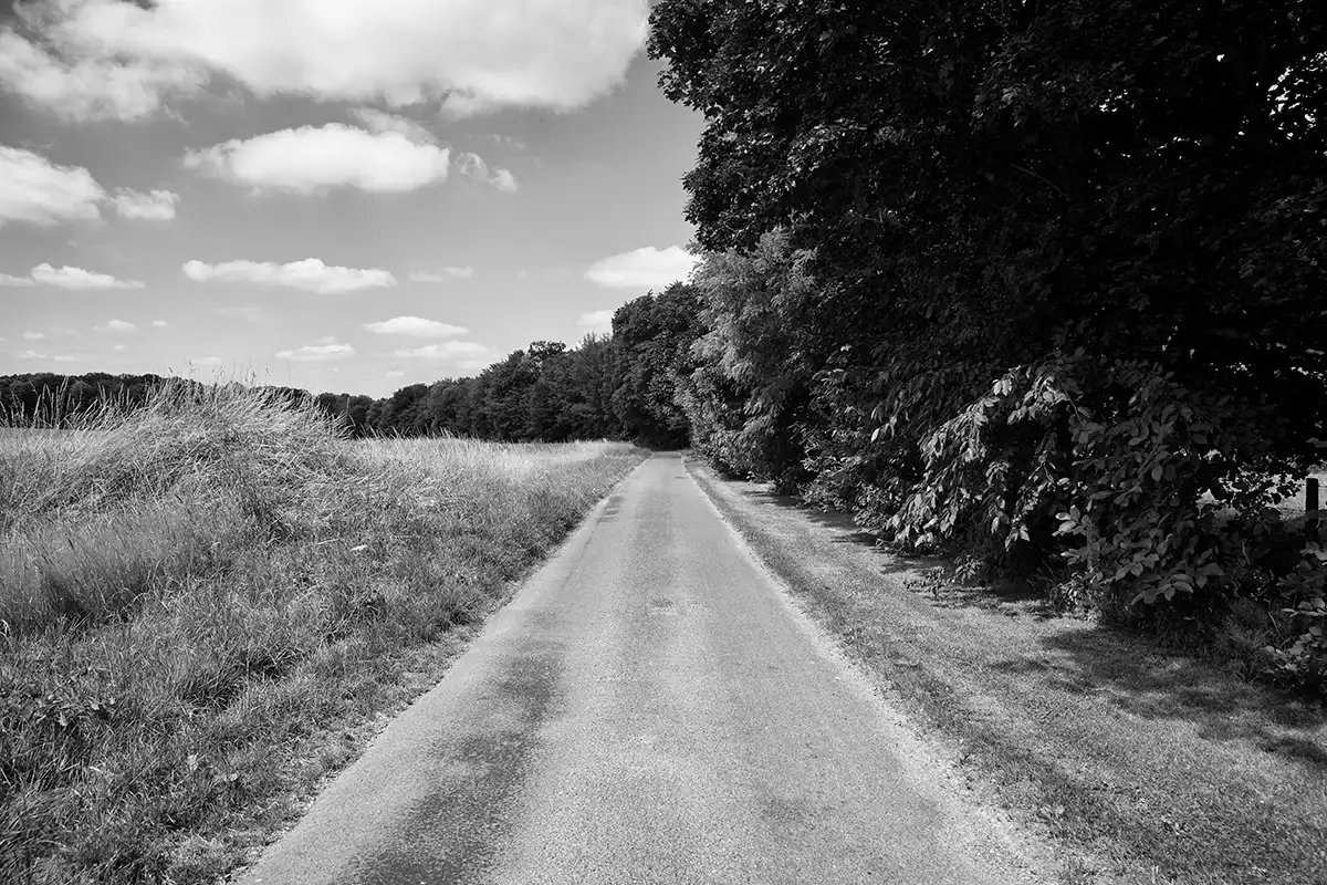 Gonçalo Cunha de Sá