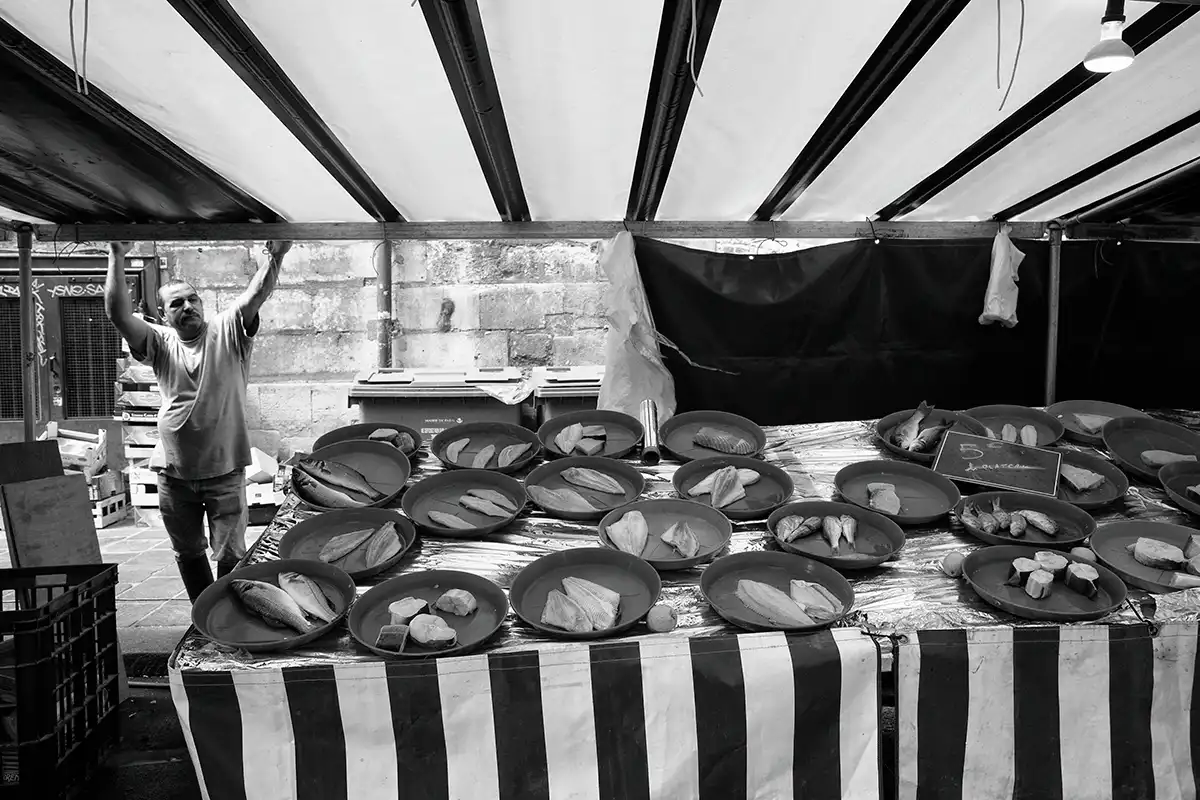 Gonçalo Cunha de Sá