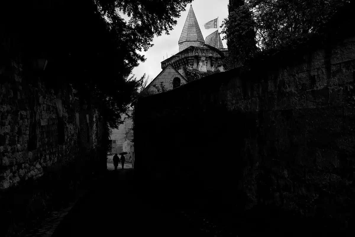 Gonçalo Cunha de Sá