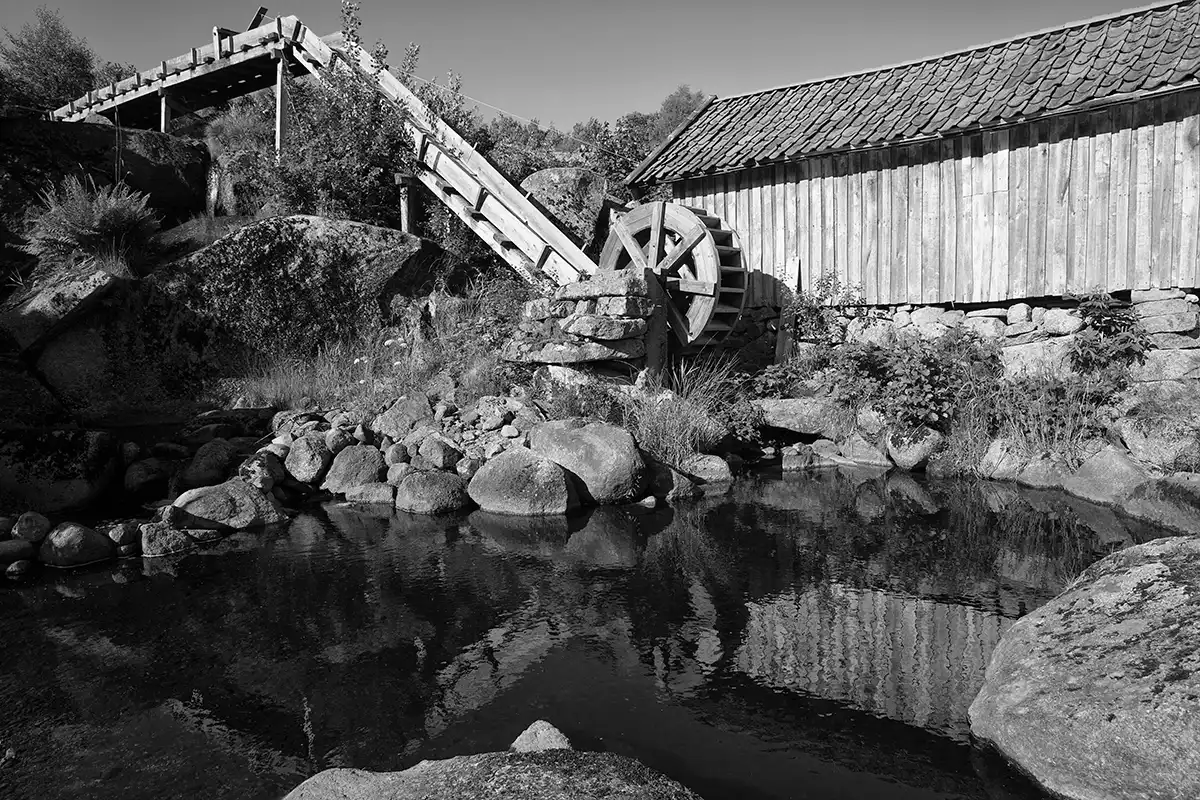 Gonçalo Cunha de Sá