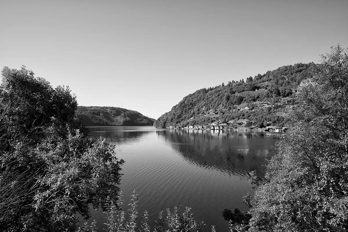 Gonçalo Cunha de Sá