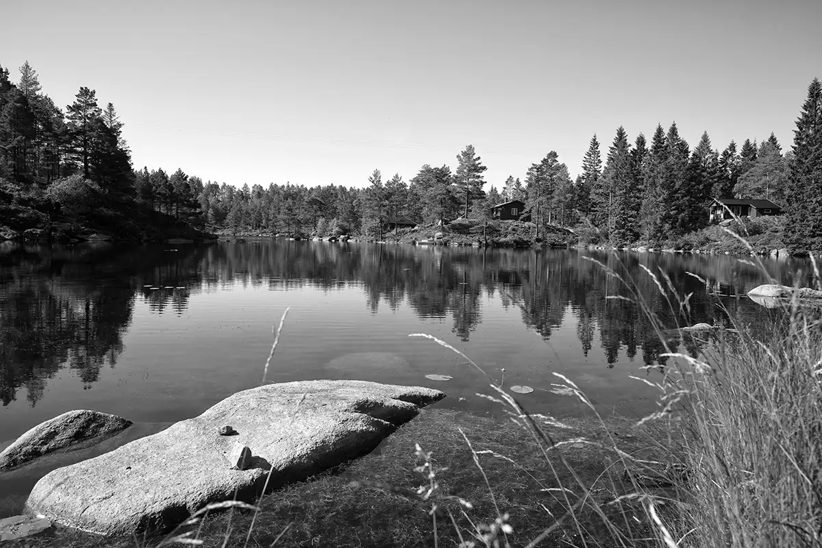 Gonçalo Cunha de Sá